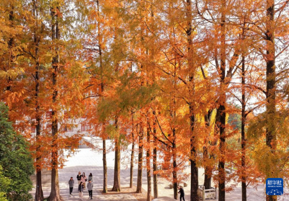 初冬时节，神州大地开启“美颜”模式
