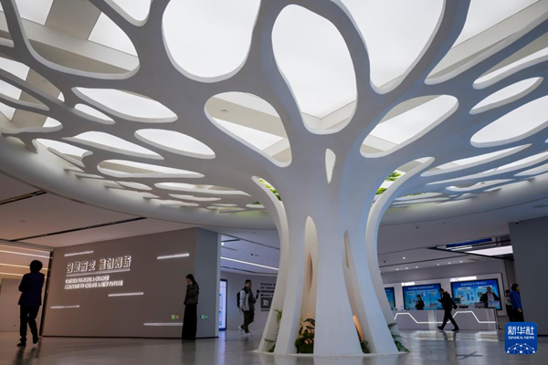 1762742264571225.jpg 4.jpg