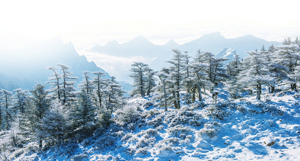 忻州冬韵 限量美景